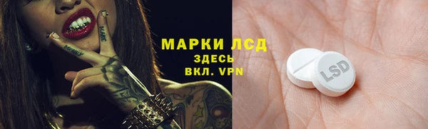 МДПВ Новозыбков