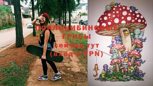 МДПВ Новозыбков