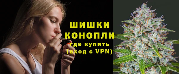 МДПВ Новозыбков