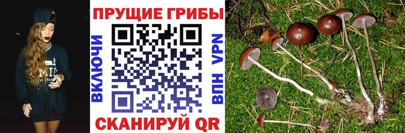 Галлюциногенные грибы прущие грибы  сколько стоит  Сухиничи 